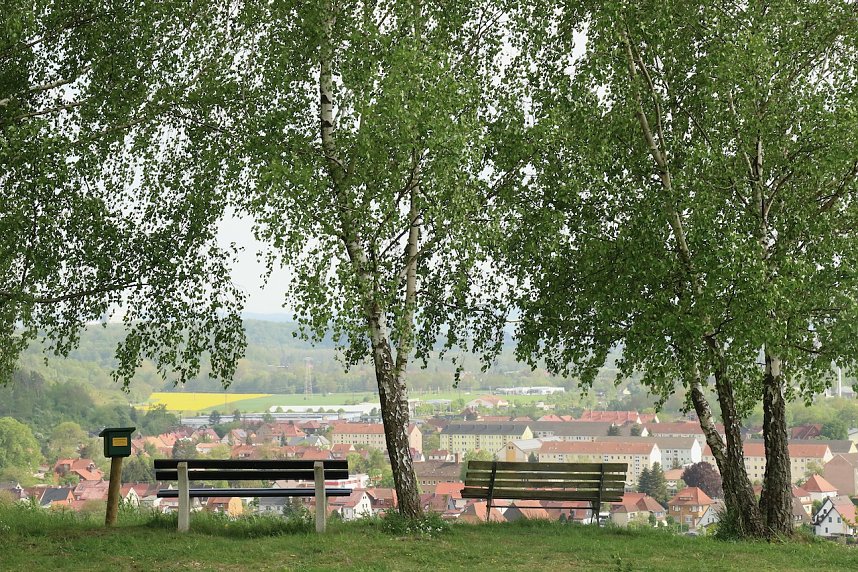 Auf dem Feuersalamanderpfad