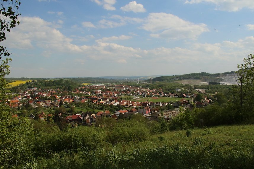 Auf dem Feuersalamanderpfad