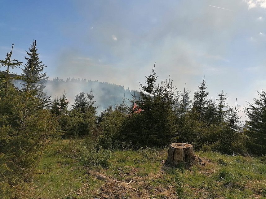 Waldbrand im Birkenmoor
