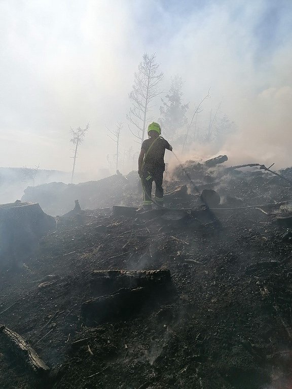 Waldbrand im Birkenmoor