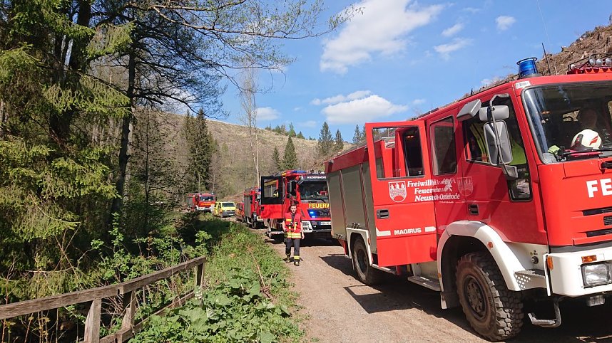 Waldbrand im Birkenmoor