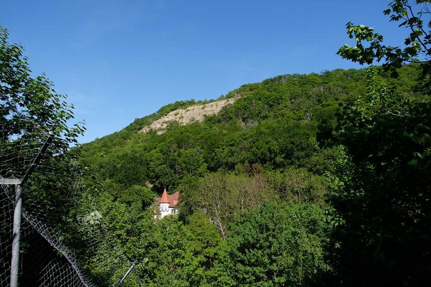 Peter Blei unterwegs im Affenpark