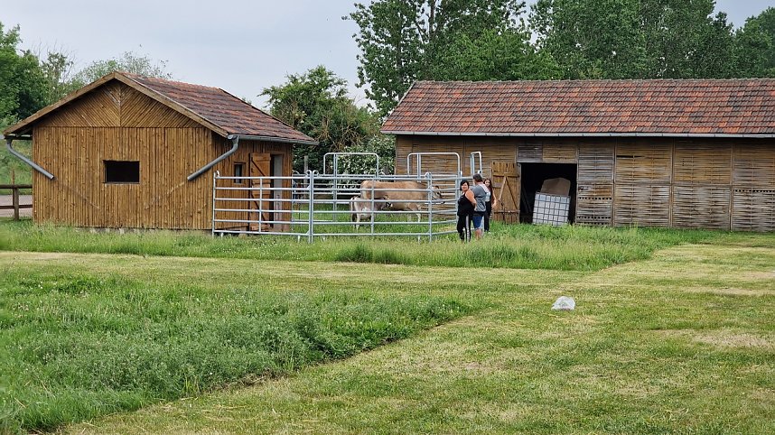 Landwirtschaft zum Staunen und Anfassen