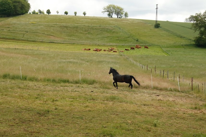 Christi Himmelfahrt im S&uuml;dharz