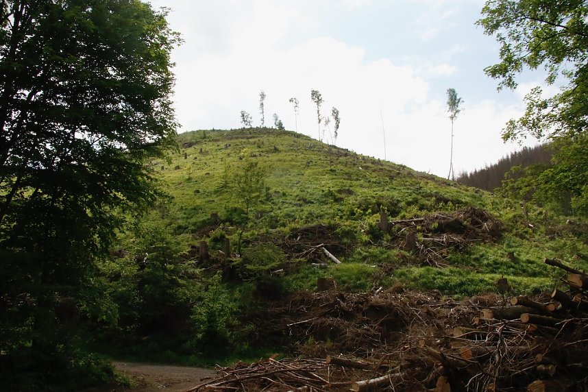 Christi Himmelfahrt im S&uuml;dharz