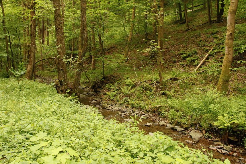 Christi Himmelfahrt im S&uuml;dharz