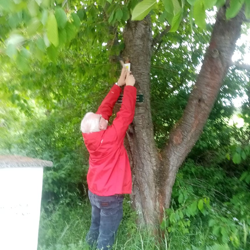 Beschilderung am Hainleite Rundweg erneuert