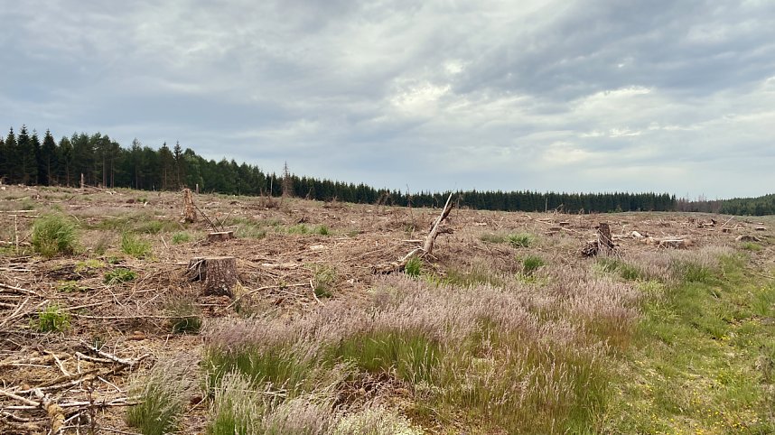 Eindr&uuml;cke aus dem Oberharz zwischen Trautenstein und Sophienhof