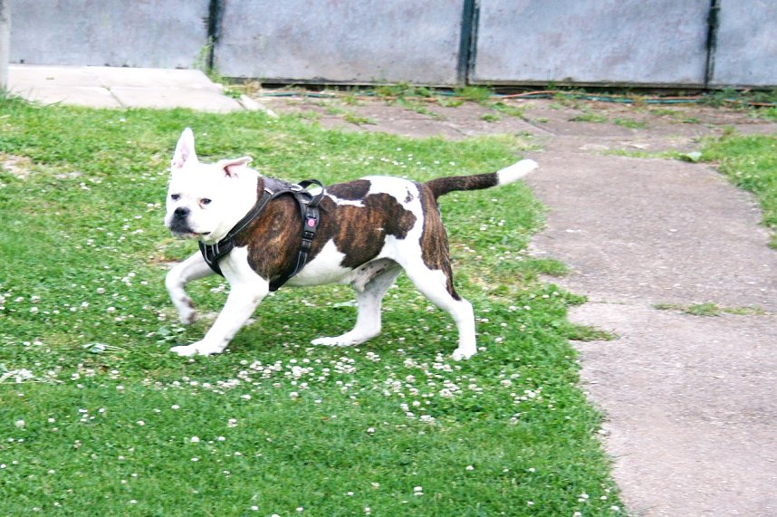 Unterwegs in der Goldenen Aue