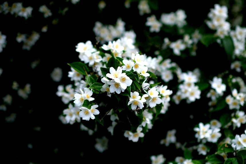 Entdeckungen auf dem Nordh&auml;user Petersberg