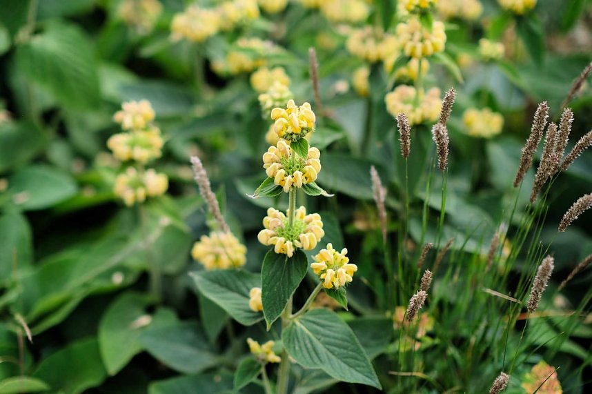 Entdeckungen auf dem Nordh&auml;user Petersberg