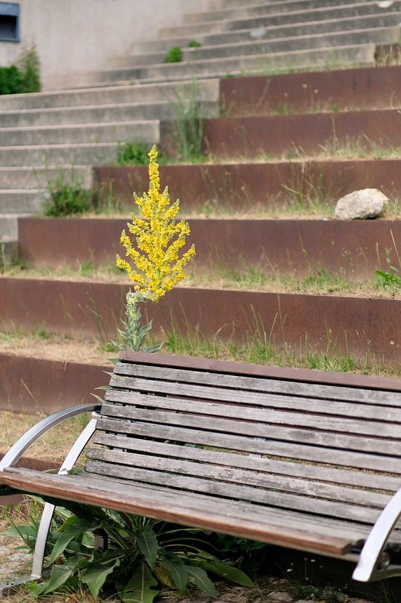 Entdeckungen auf dem Nordh&auml;user Petersberg