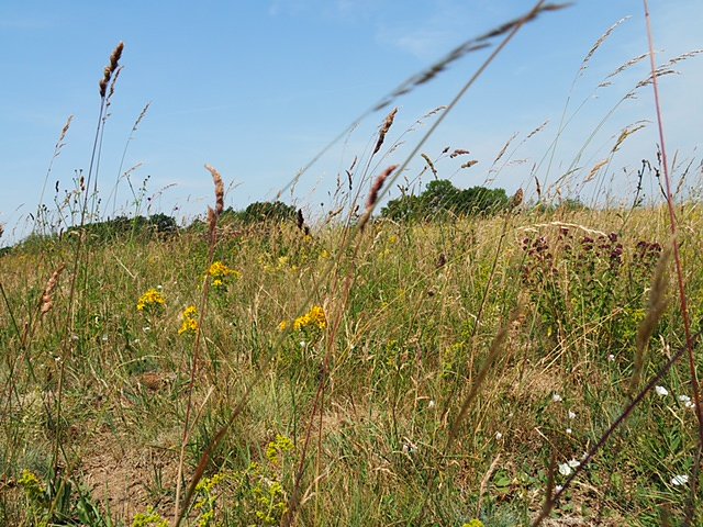 Auf dem Feuersalamanderpfad