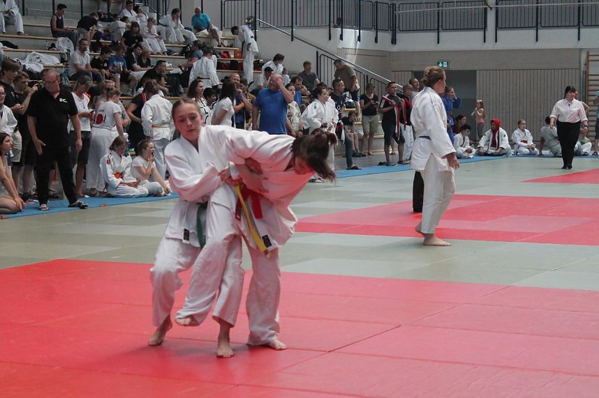 Landeseinzelmeisterschaften im Judo
