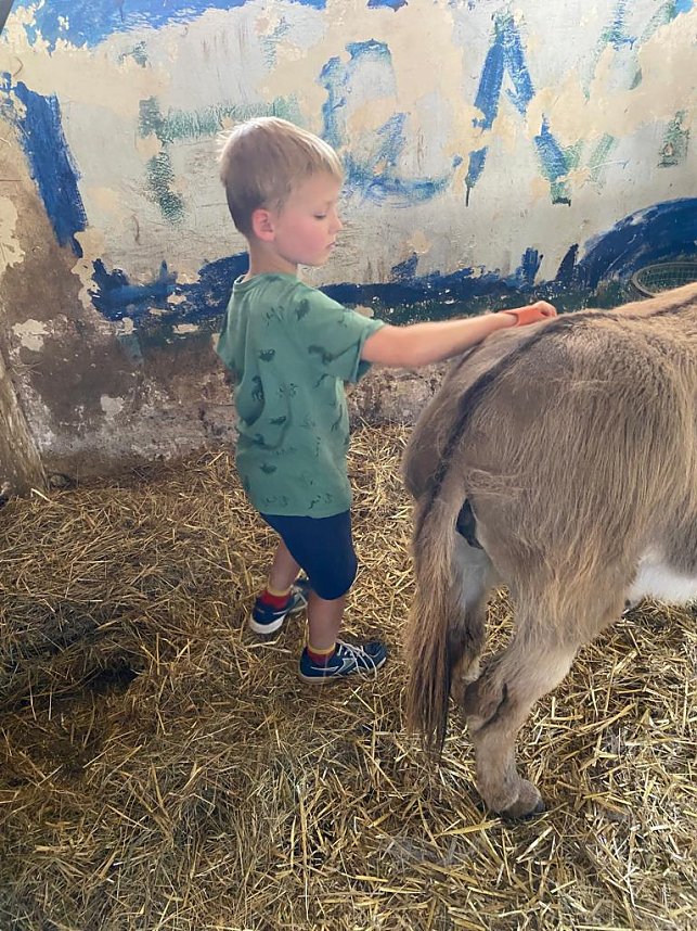 Die Grundschule sagt Danke!
