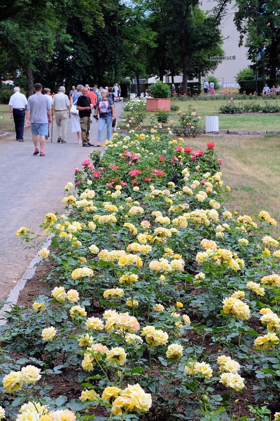 95. Jahre Rosengarten