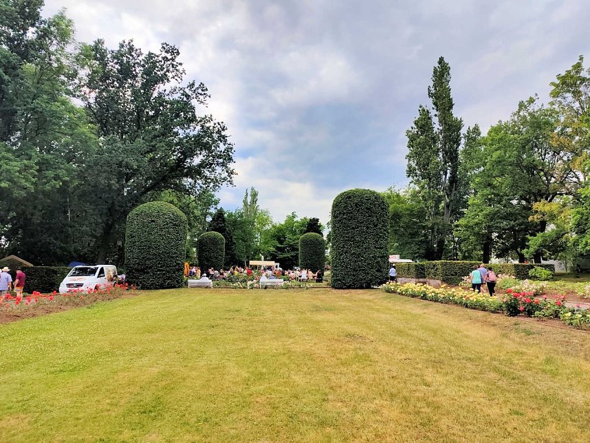 95. Jahre Rosengarten