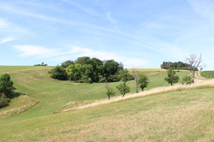 botanische Wanderung vor der eigenen Haust&uuml;r