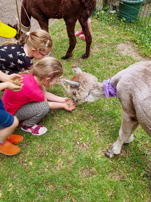 Sommerfest am Domschl&ouml;sschen
