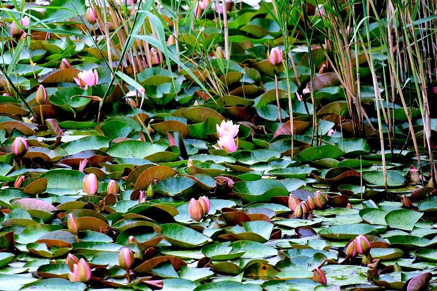 Peter Blei unterwegs an der Salzaquelle