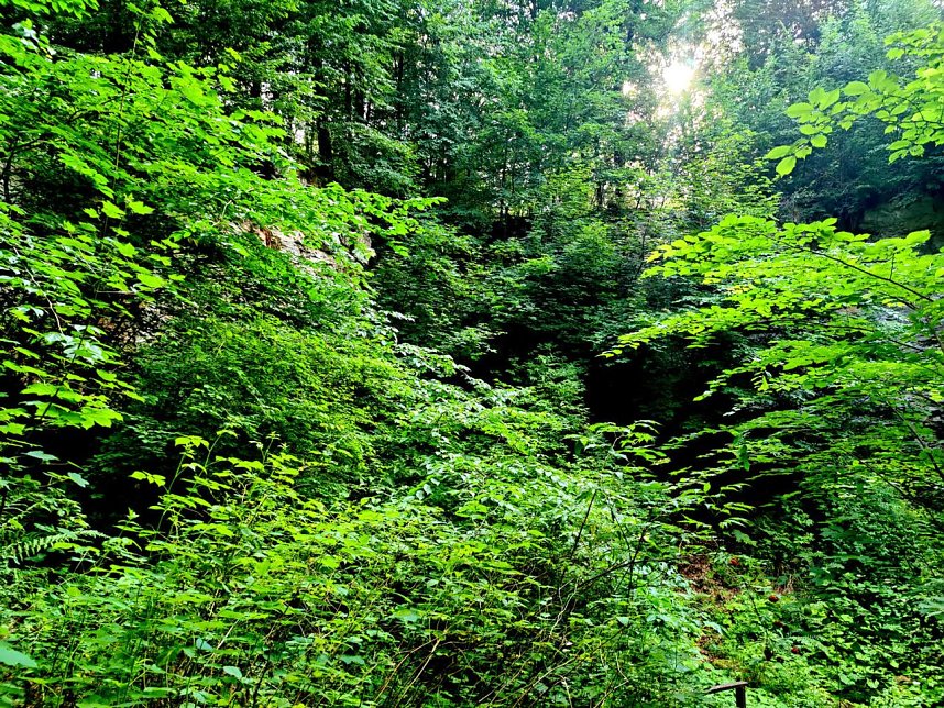 Peter Blei unterwegs an der Kelle