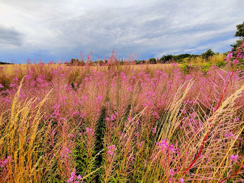 Peter Blei unterwegs an der Kelle