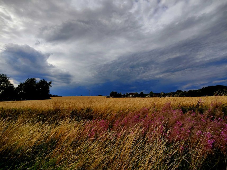 Peter Blei unterwegs an der Kelle