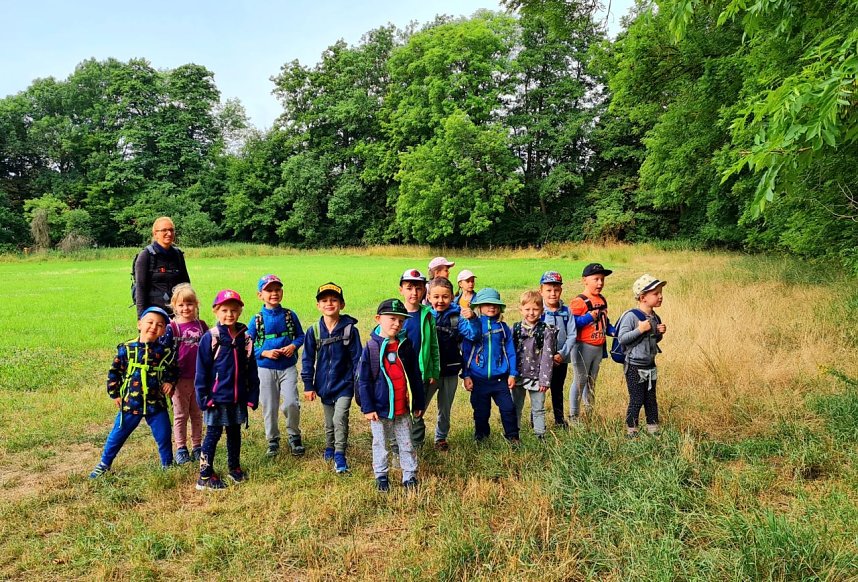 Wald-Finale vor der Sommerpause