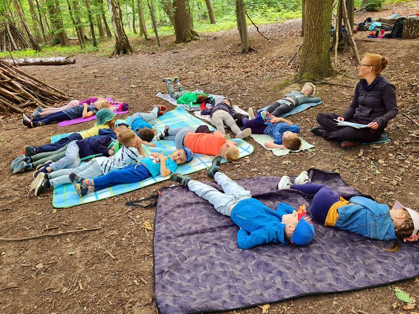 Wald-Finale vor der Sommerpause