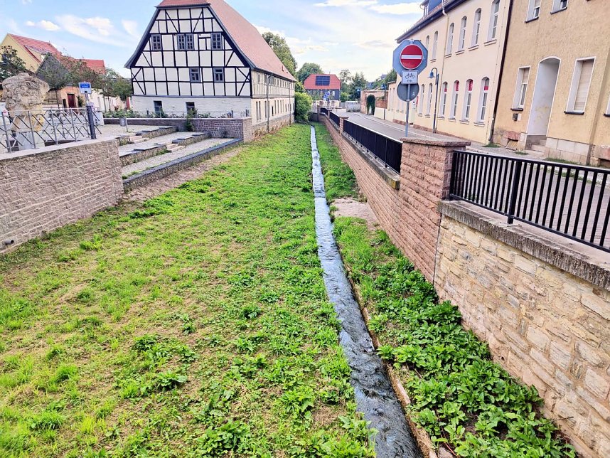 Peter Blei unterwegs in Sangerhausen
