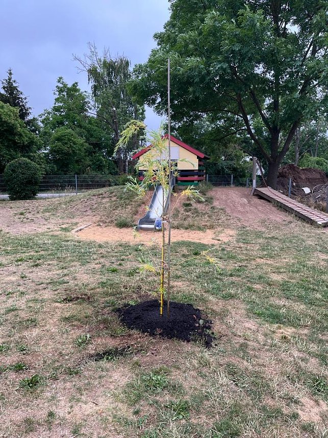 Zuckert&uuml;tenfest in Harz Rigi
