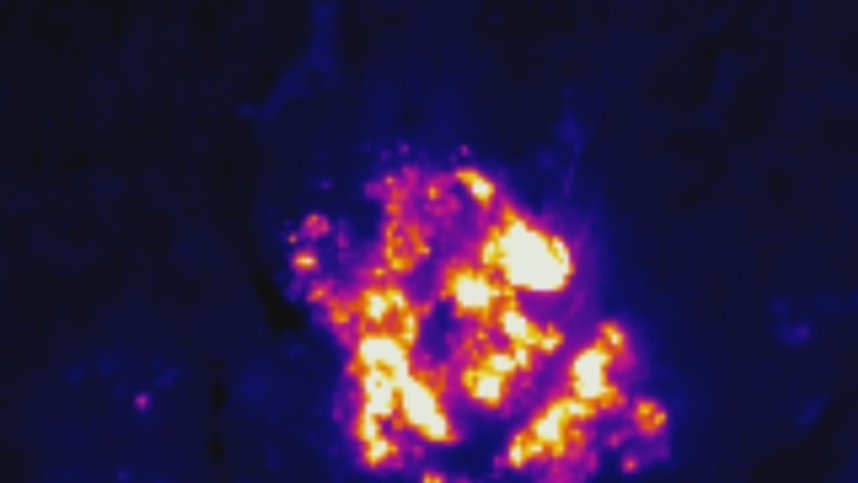 Waldbrand bei Wernrode