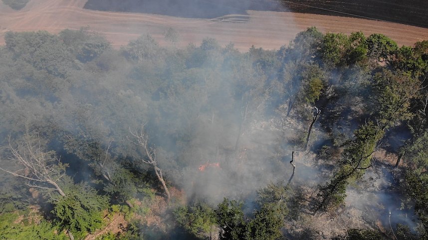 Waldbrand bei Wernrode