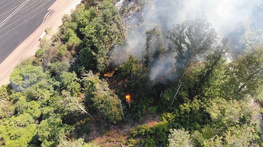Waldbrand bei Wernrode