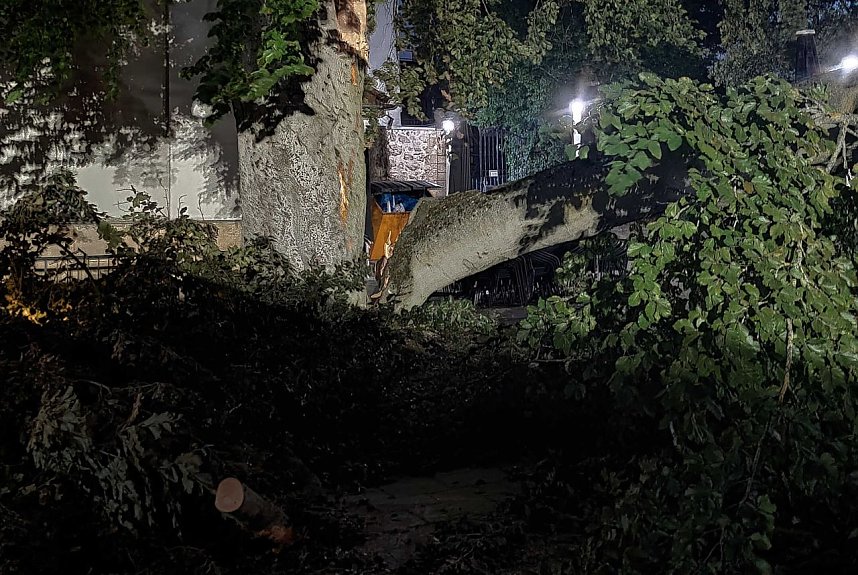 Ast begr&auml;bt Auto am Nordh&auml;user Theater