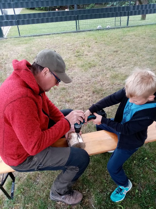 Bienenhotel mit angeschlossener Wiese