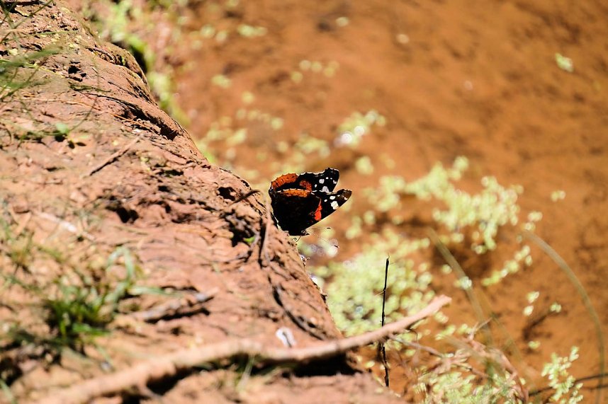 Peter Blei unterwegs in Liebenrode