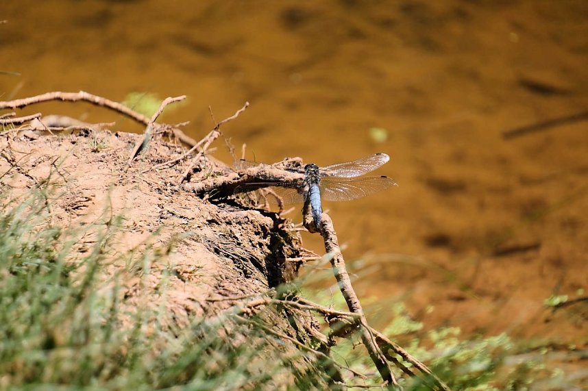 Peter Blei unterwegs in Liebenrode
