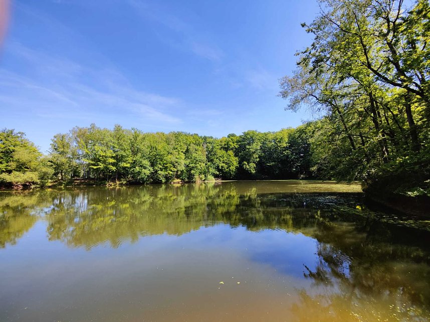 Peter Blei unterwegs in Liebenrode