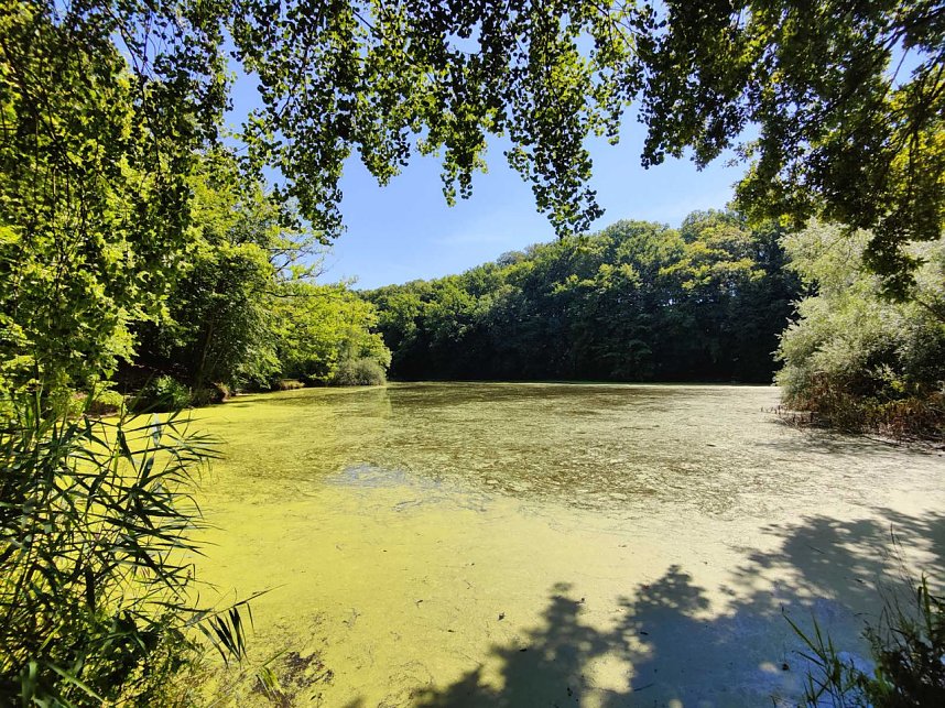Peter Blei unterwegs in Liebenrode