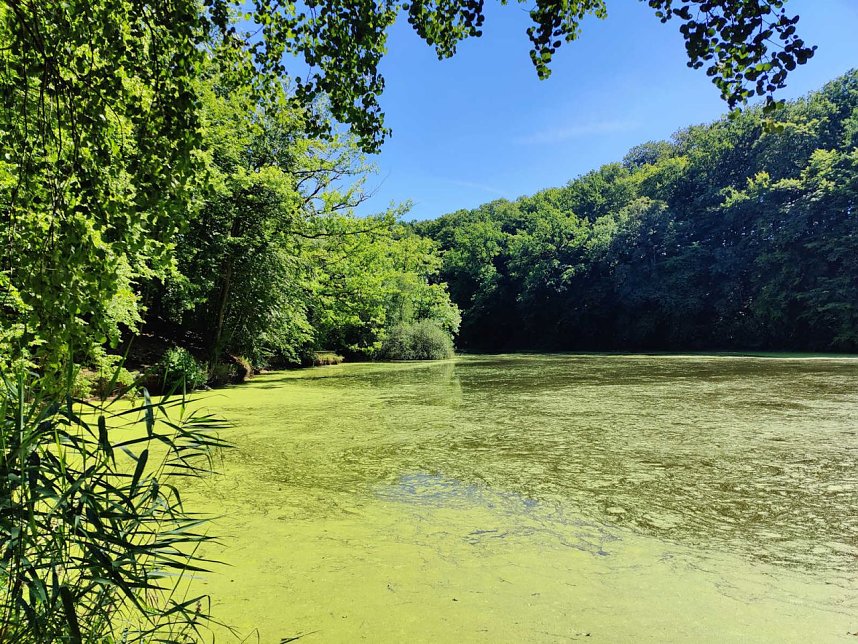 Peter Blei unterwegs in Liebenrode
