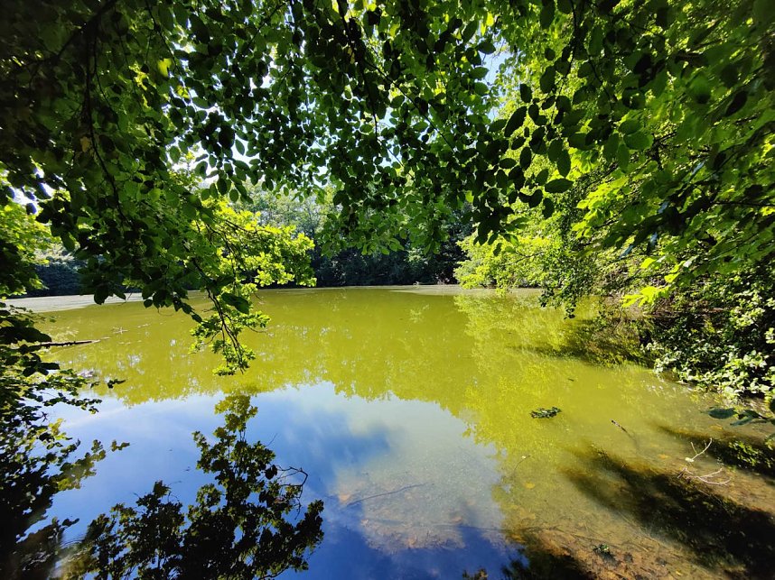 Peter Blei unterwegs in Liebenrode
