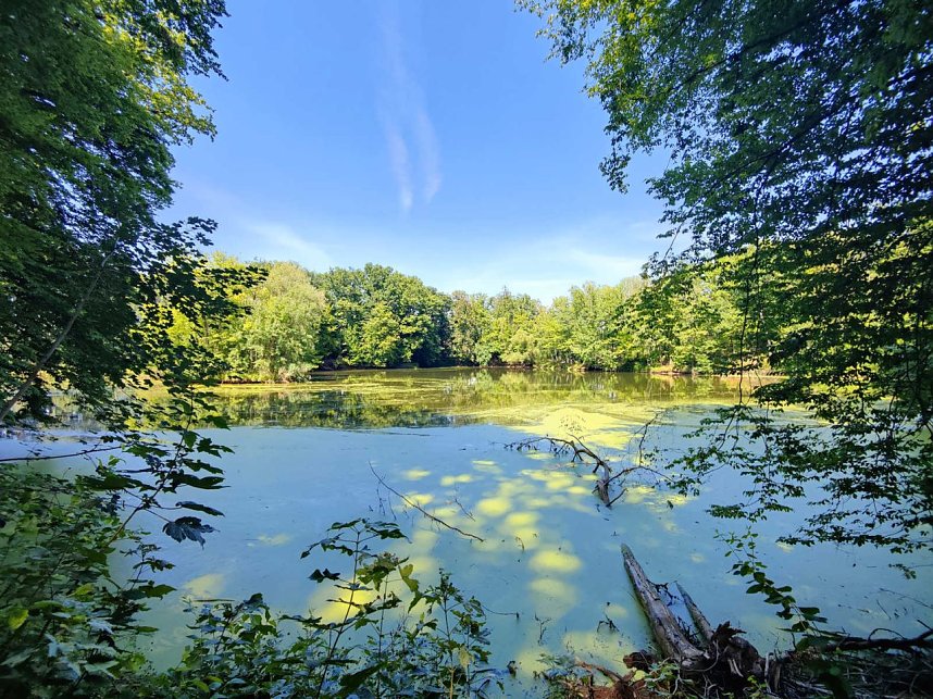 Peter Blei unterwegs in Liebenrode