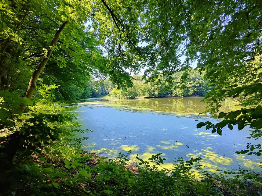 Peter Blei unterwegs in Liebenrode