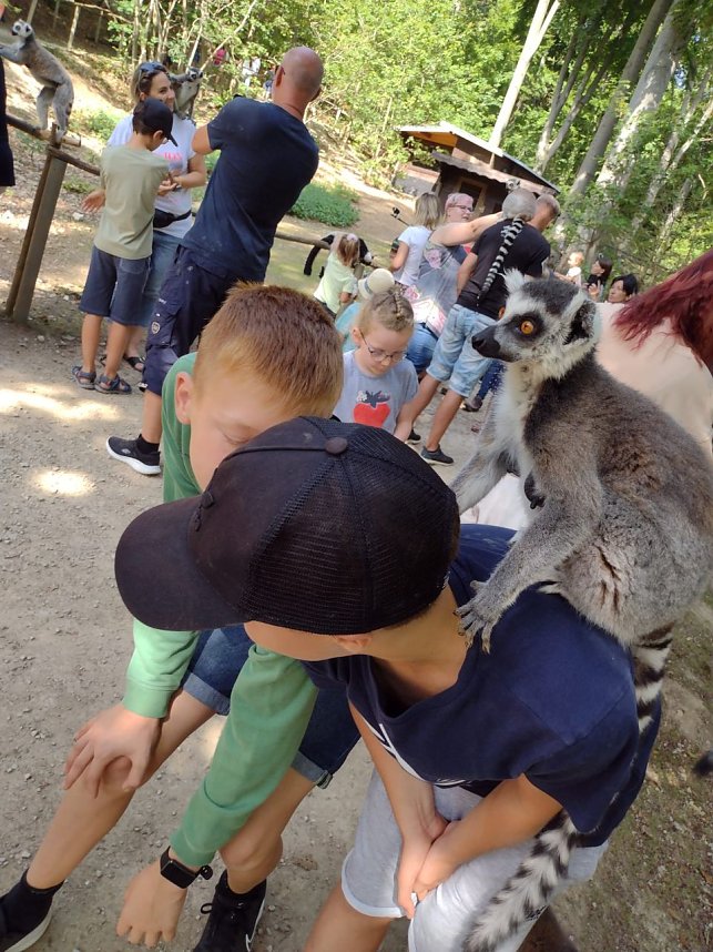 Erlebnisreiche Tage im Jugendtreff des Jugendclubhauses