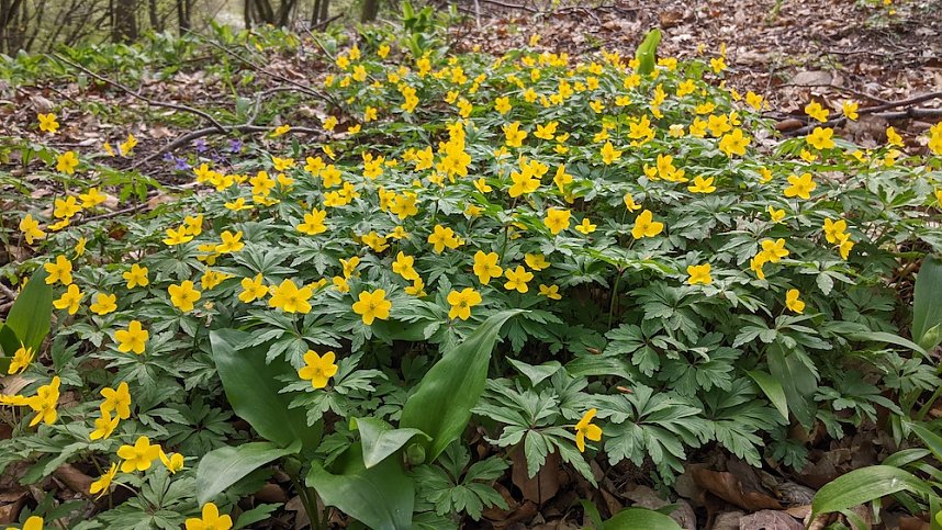 Fotowettbewerb l&auml;uft noch bis Ende September