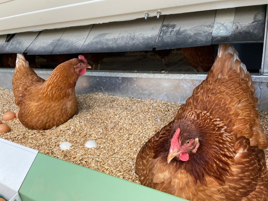 H&uuml;hnermobil in Urbacher Produktionsfirma