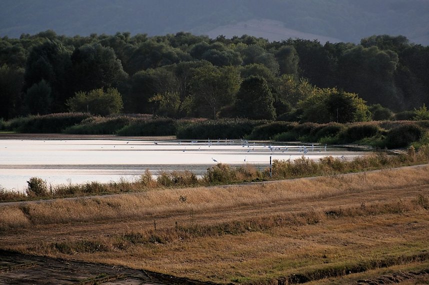 Abendstimmung am Stausee Kelbra