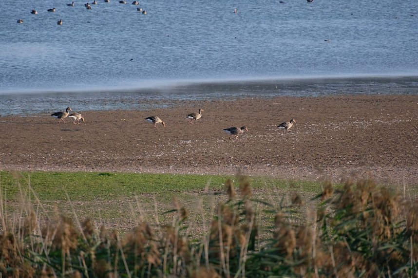 Abendstimmung am Stausee Kelbra