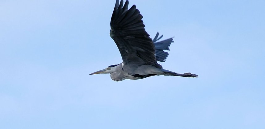 Abendstimmung am Stausee Kelbra